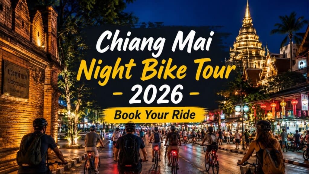 Night bike tour